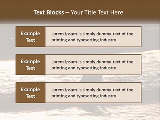 Sunset Peaceful Life PowerPoint Template
