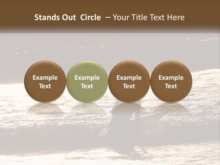 Sunset Peaceful Life PowerPoint Template