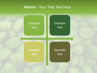 Coast Retired Retirement PowerPoint Template