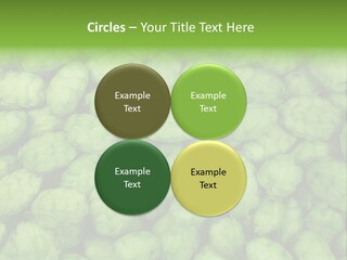 Coast Retired Retirement PowerPoint Template