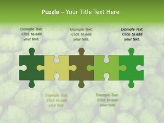 Coast Retired Retirement PowerPoint Template