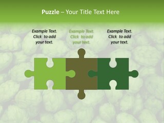 Coast Retired Retirement PowerPoint Template