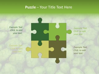 Coast Retired Retirement PowerPoint Template