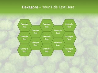 Coast Retired Retirement PowerPoint Template