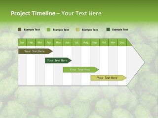Coast Retired Retirement PowerPoint Template