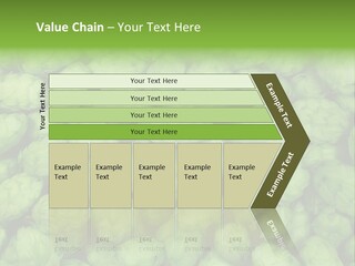 Coast Retired Retirement PowerPoint Template