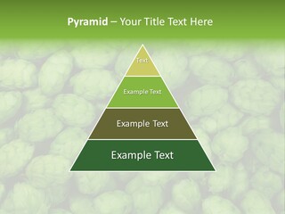 Coast Retired Retirement PowerPoint Template