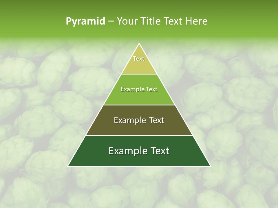 Coast Retired Retirement PowerPoint Template