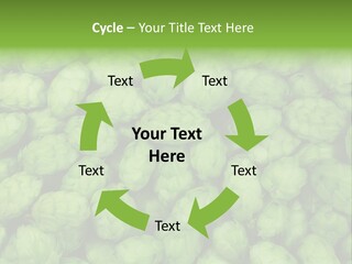 Coast Retired Retirement PowerPoint Template