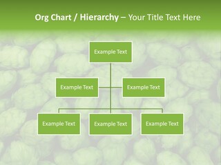 Coast Retired Retirement PowerPoint Template