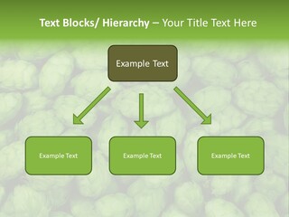 Coast Retired Retirement PowerPoint Template