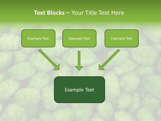 Coast Retired Retirement PowerPoint Template
