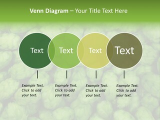 Coast Retired Retirement PowerPoint Template