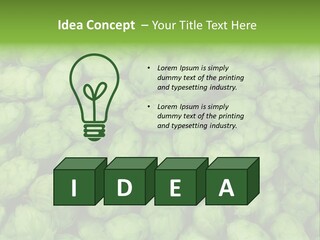 Coast Retired Retirement PowerPoint Template