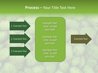 Coast Retired Retirement PowerPoint Template