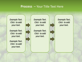 Coast Retired Retirement PowerPoint Template