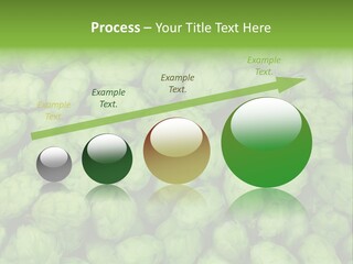 Coast Retired Retirement PowerPoint Template