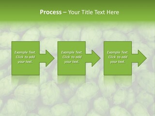 Coast Retired Retirement PowerPoint Template