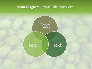 Coast Retired Retirement PowerPoint Template