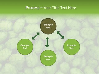 Coast Retired Retirement PowerPoint Template