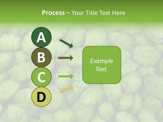 Coast Retired Retirement PowerPoint Template