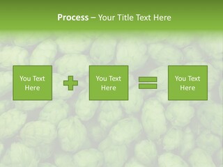 Coast Retired Retirement PowerPoint Template