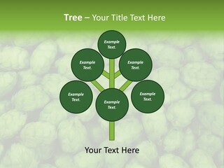 Coast Retired Retirement PowerPoint Template