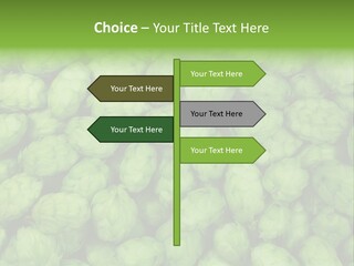 Coast Retired Retirement PowerPoint Template