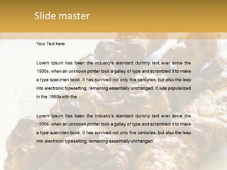 Single Woman Retired PowerPoint Template