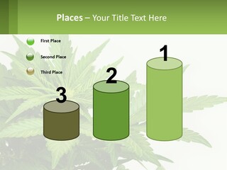 Older Sunset Sad PowerPoint Template