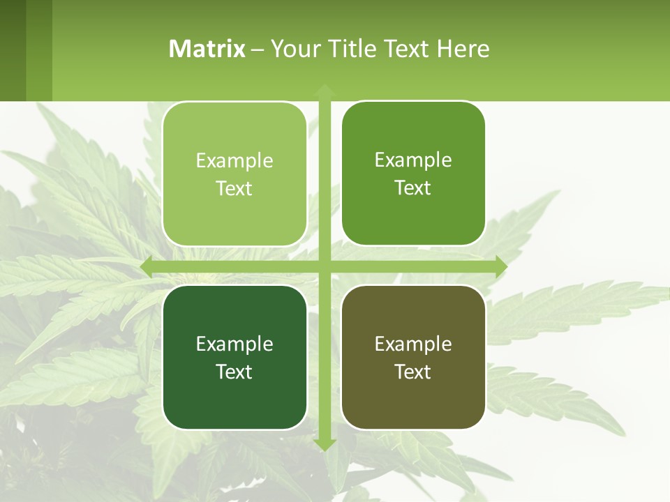 Older Sunset Sad PowerPoint Template