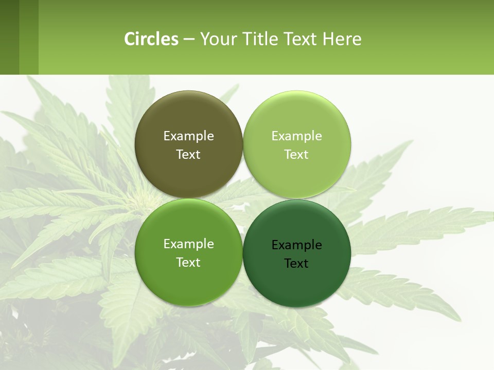 Older Sunset Sad PowerPoint Template