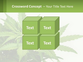 Older Sunset Sad PowerPoint Template