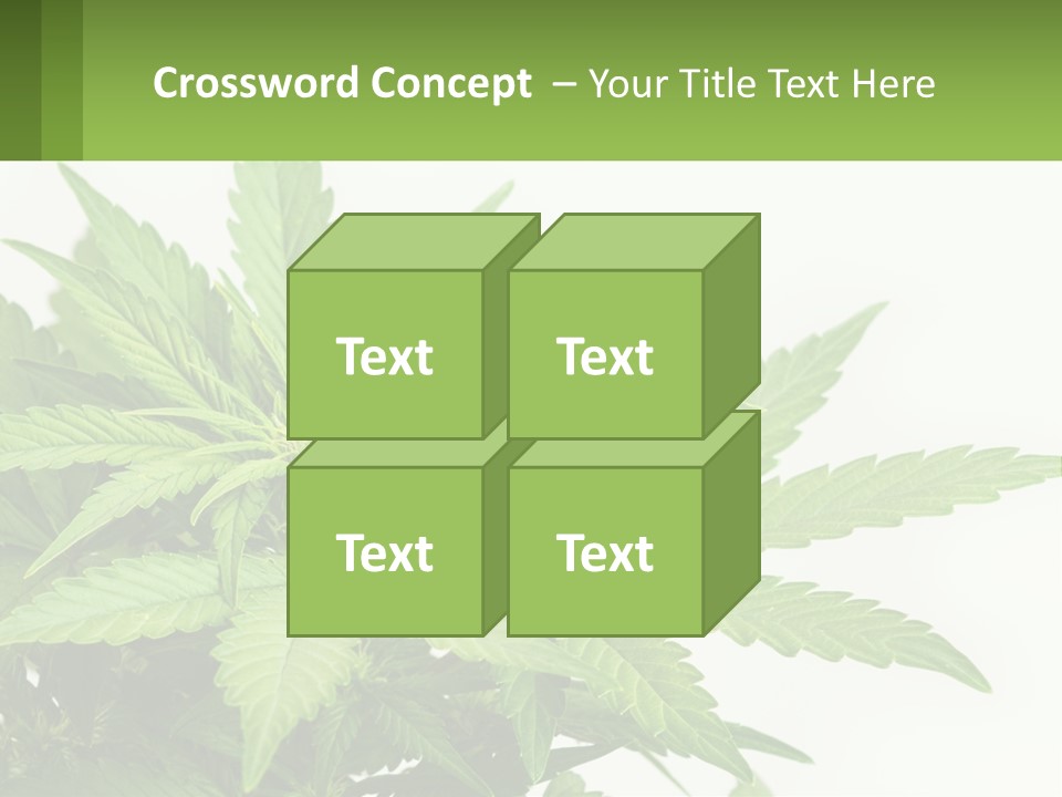 Older Sunset Sad PowerPoint Template