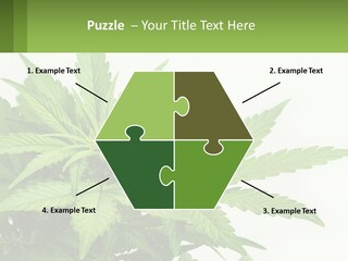 Older Sunset Sad PowerPoint Template