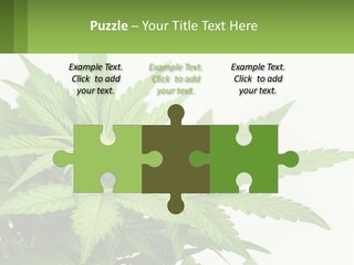 Older Sunset Sad PowerPoint Template