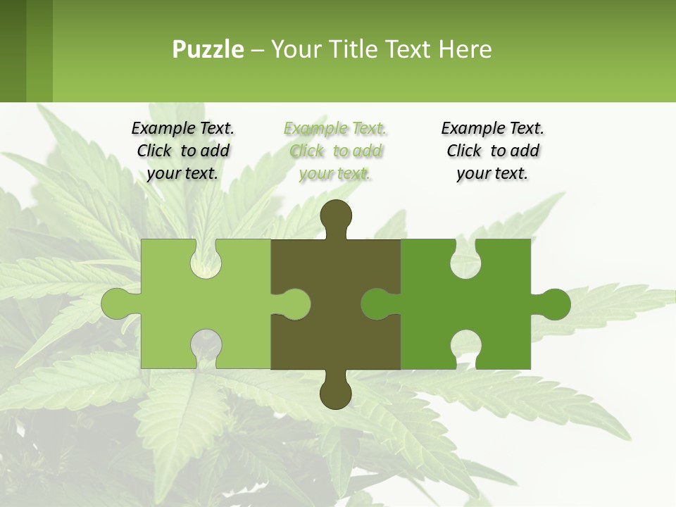 Older Sunset Sad PowerPoint Template