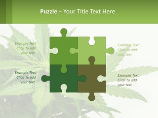 Older Sunset Sad PowerPoint Template