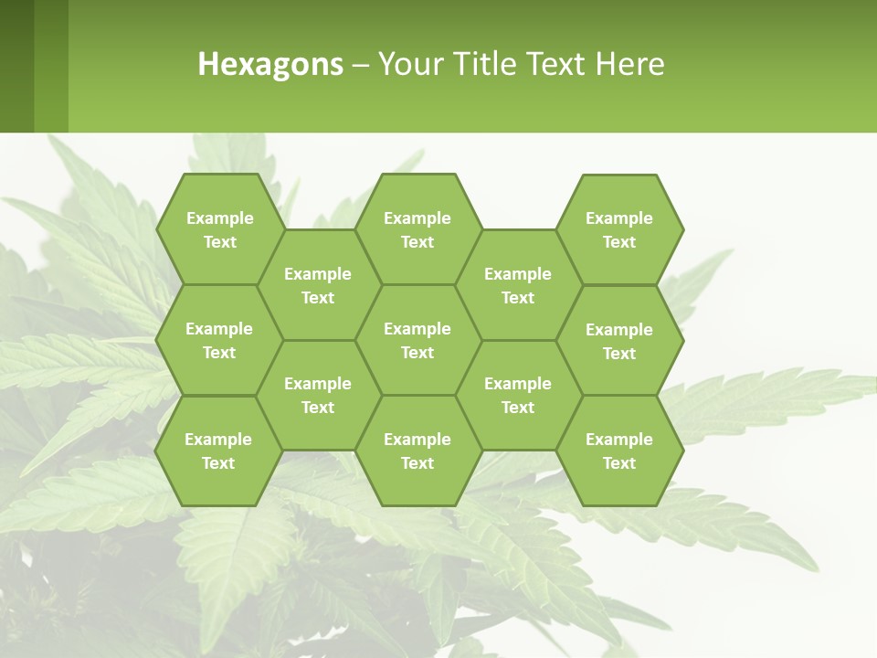 Older Sunset Sad PowerPoint Template