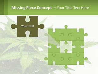 Older Sunset Sad PowerPoint Template