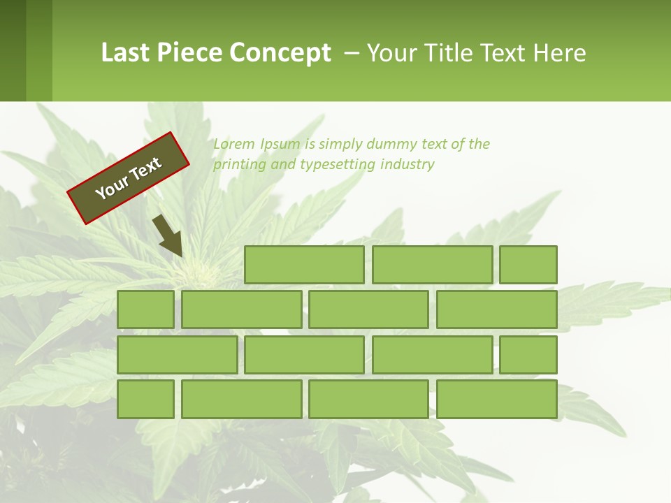 Older Sunset Sad PowerPoint Template