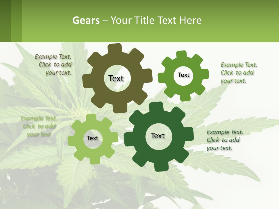 Older Sunset Sad PowerPoint Template