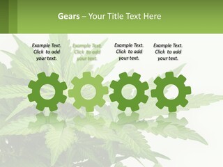 Older Sunset Sad PowerPoint Template