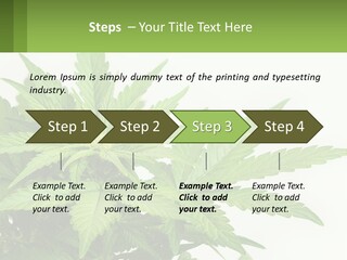 Older Sunset Sad PowerPoint Template