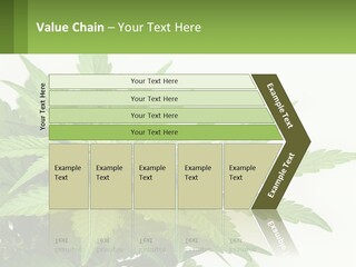 Older Sunset Sad PowerPoint Template