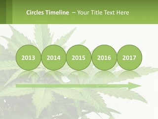 Older Sunset Sad PowerPoint Template