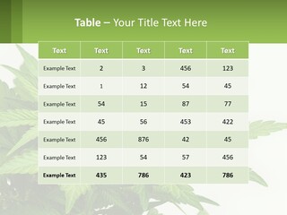Older Sunset Sad PowerPoint Template