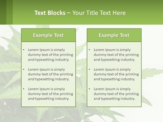 Older Sunset Sad PowerPoint Template
