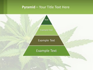 Older Sunset Sad PowerPoint Template