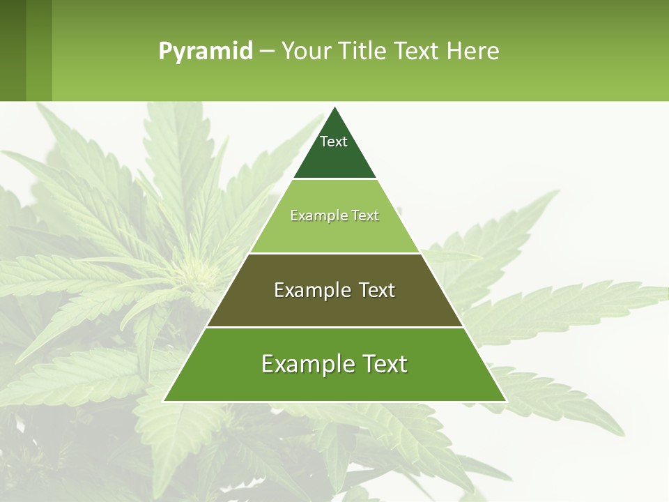 Older Sunset Sad PowerPoint Template